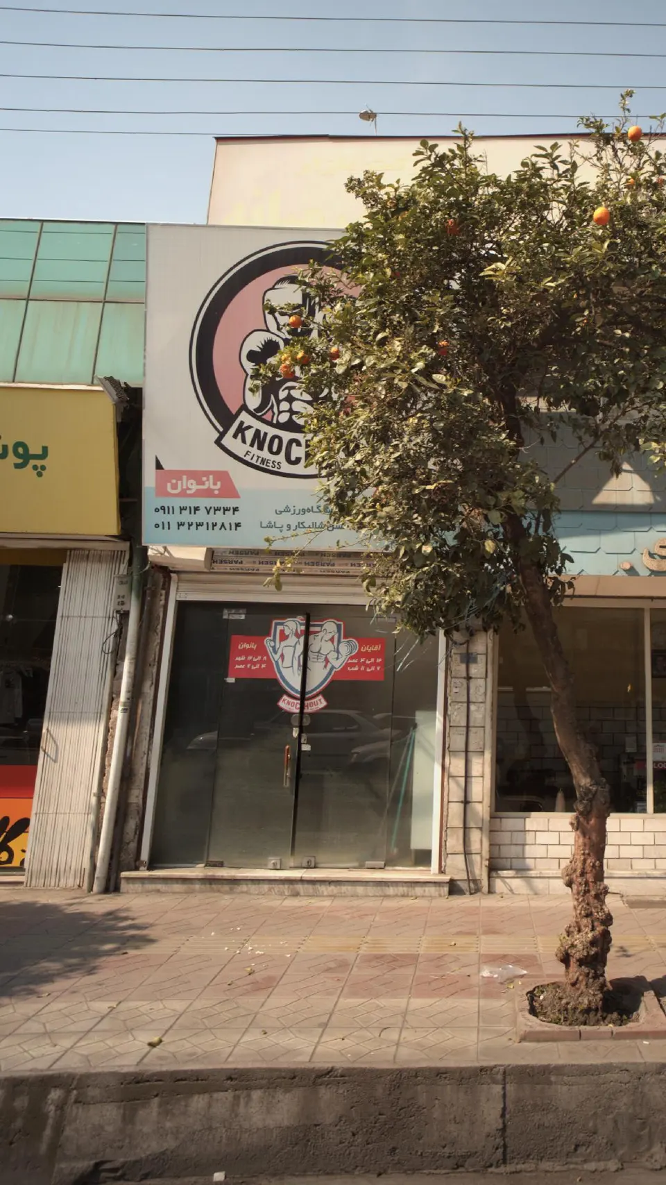 باشگاه ورزشی حسن شالیکار ویوسف نیا پاشا