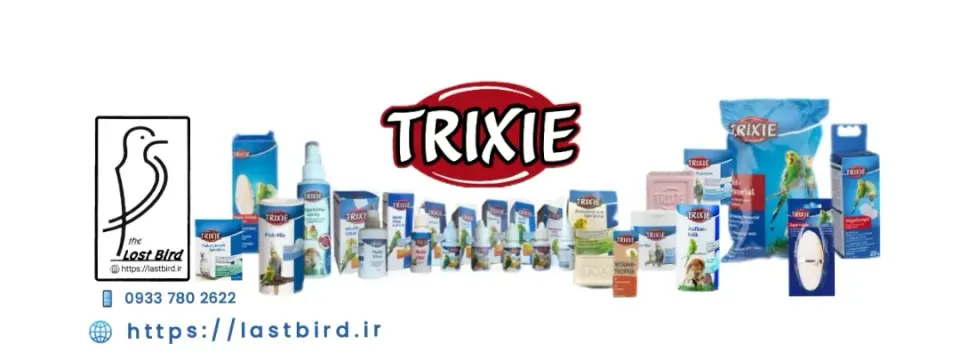 managed-by-sync_ad_images:imp-8dab6431ccebbac33a1b