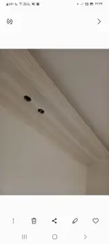 غلامرضا تاتار