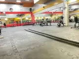 باشگاه عباس جدیدی