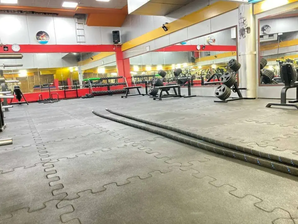 باشگاه عباس جدیدی