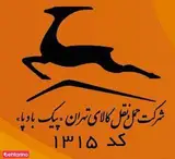 پیک بادپا