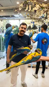 پرنده سرای بیات پروت