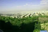 پارک جنگلی سوهانک