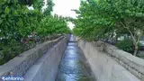 مسیل جاجرود
