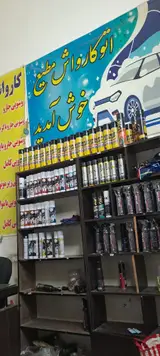 کارواش مطیع
