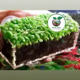 آکواریوم پلنت آکوا