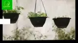 فروشگاه دکترگل