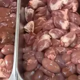 دکتر جیگر