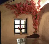 کافه رستوران سنتورینی