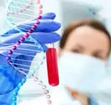 آزمایشگاه دی