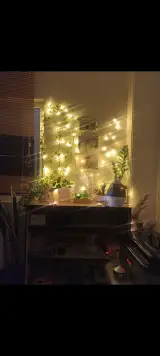 مجیک ماساژ پرند