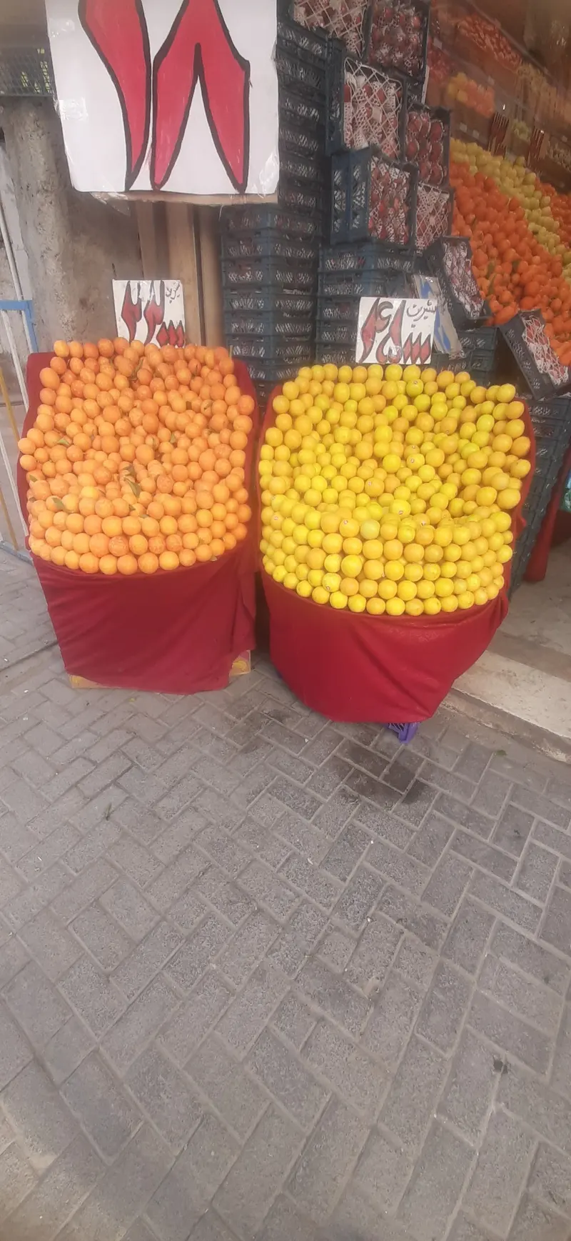 ارزانسرای میوه کوروش بایگی ارزان