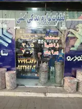 لوازم یدکی نایه