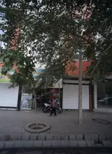 طباخی پنجه طلا