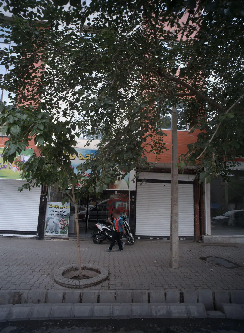 طباخی پنجه طلا