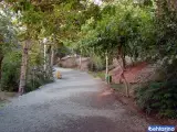پارک طالقانی (بوستان طالقانی)