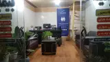 بیمه سینا نمایندگی قاسم پور