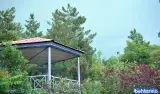 پارک جنگلی شیان