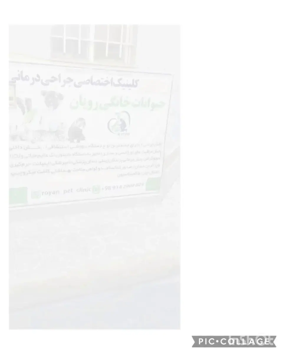 کلینیک تخصصی جراحی درمانی حیوانات خانگی رویان