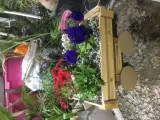 دهکده کاکتوس