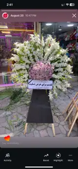 گلفروشی گل نرگس ملایر