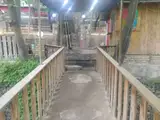 لمکده شب های رویایی