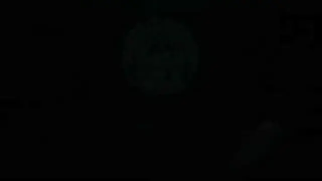 فست فود باما هاس