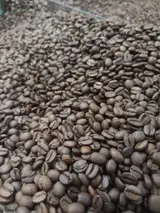 موادغذایی فدایی