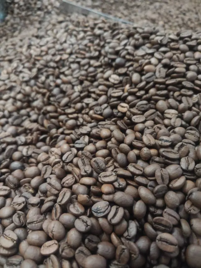 موادغذایی فدایی