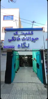 کلینیک دامپزشکی حیوانات خانگی نگاه