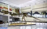 موزه علوم زمین مشهد