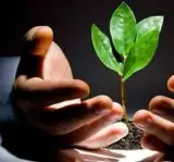 مرکز ترک اعتیاد حسینی