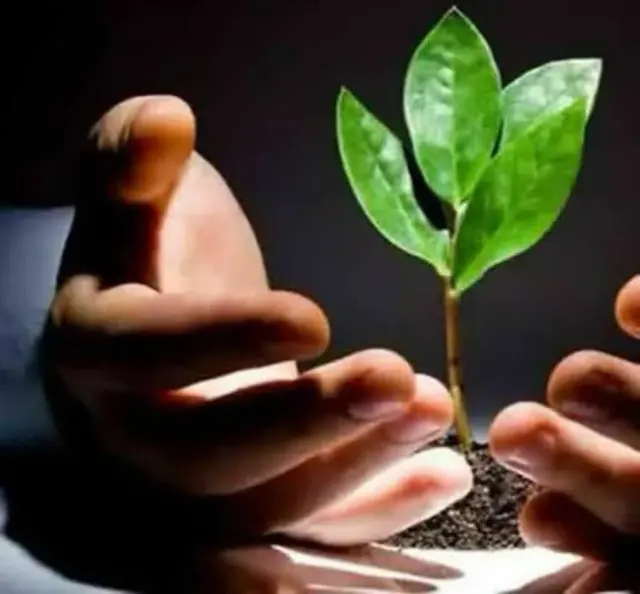 مرکز ترک اعتیاد حسینی