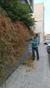 شرکت نهال آنلاین