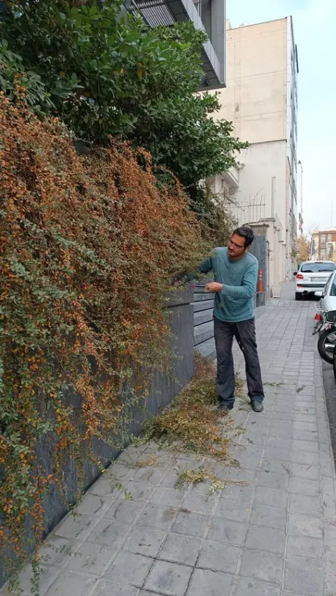 شرکت نهال آنلاین