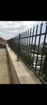 علیرضا یادگاری