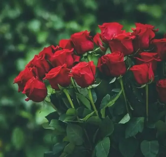 مدرسه تیزهوشان عصر امروز