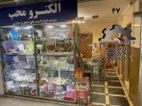 الکترومحب