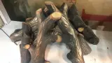 خدمات تعمیرات لوازم خانگی بابایی