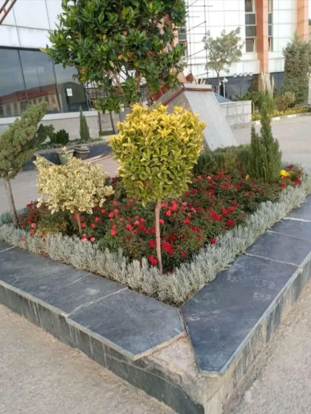 خدمات باغبانی گلکاری باغچه کاری