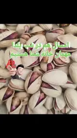 مواد غذایی و شوینده شرکت آداک تجارت آسا