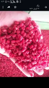 آجیل و خشکبار تینان زر