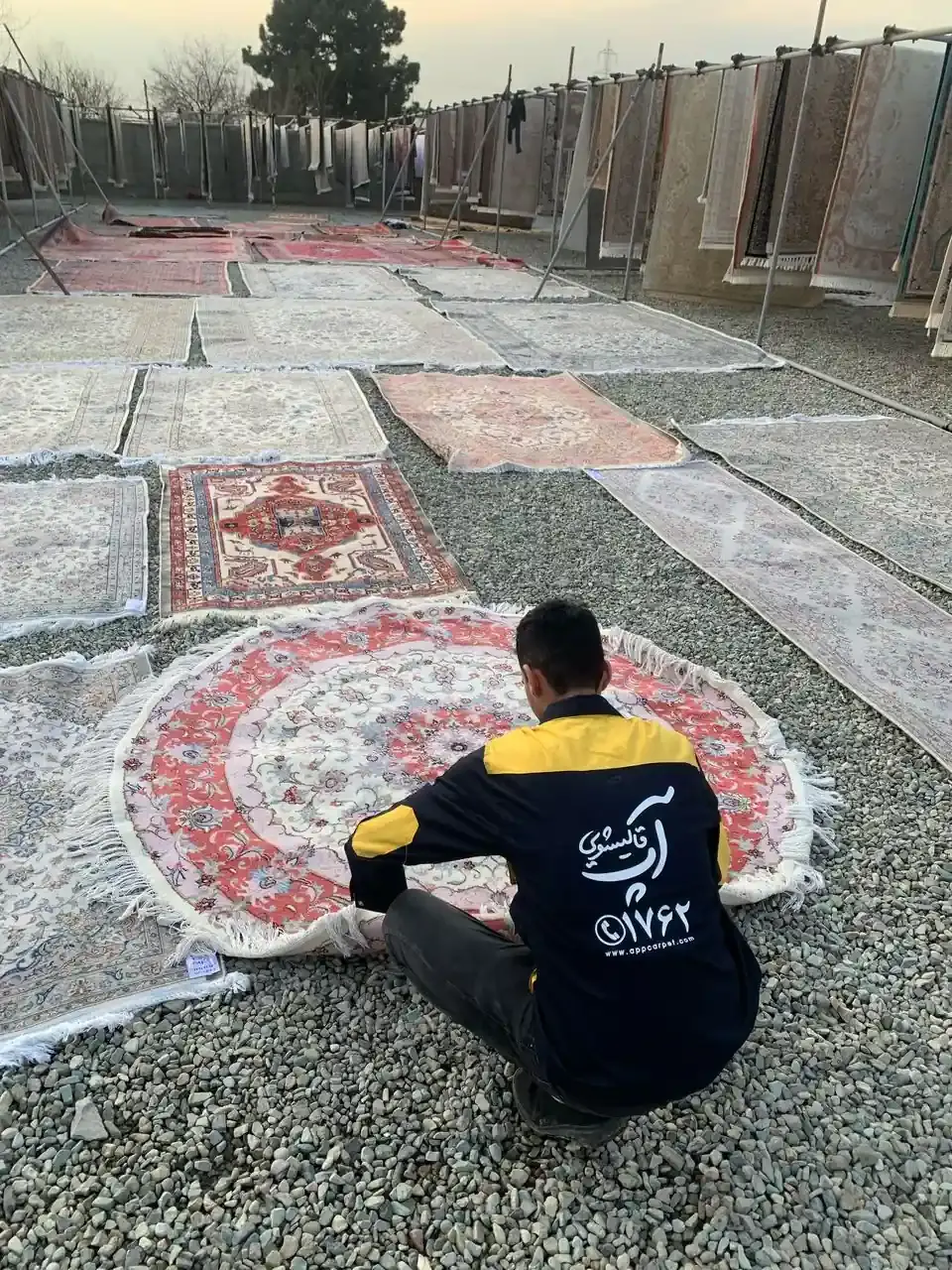 قالیشویی مبل شویی آپ