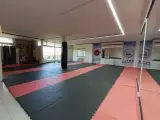 باشگاه آوای رزم لوبو