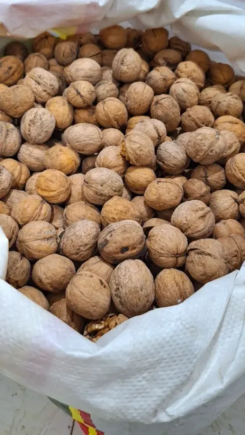 خشکبار
