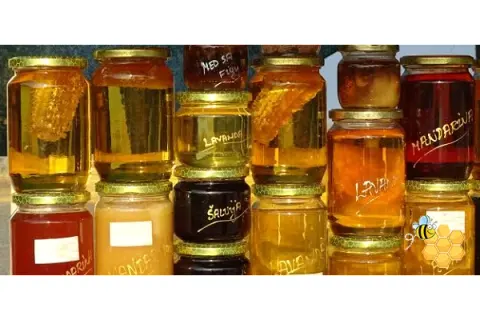 خانه عسل مهوین