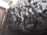 پخش ذغال مهندس