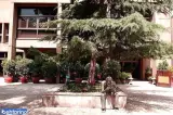 تئاتر فرهنگسرای نیاوران
