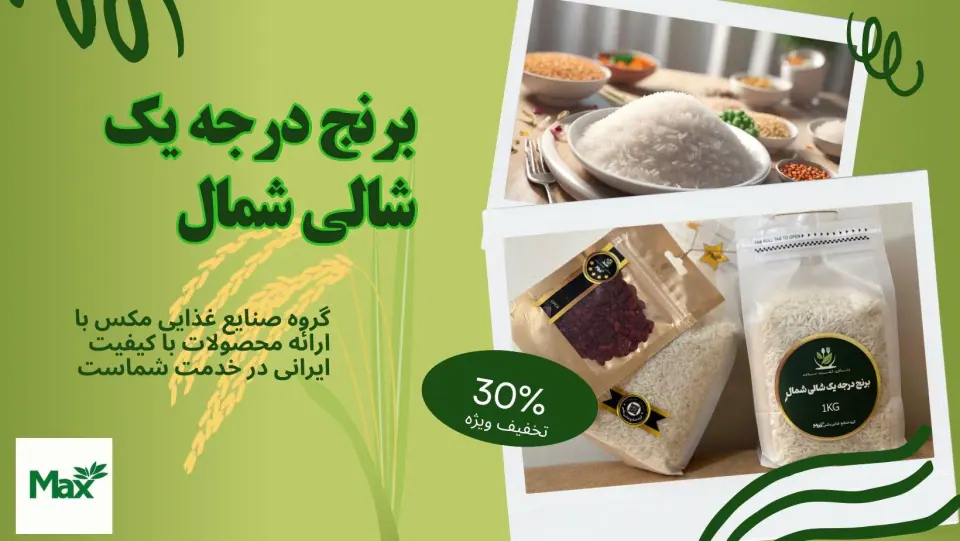 گروه صنایع غذایی مکس